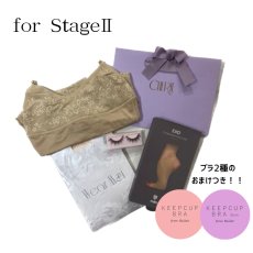 画像1: CHERIEサポートセット for stage II (1)