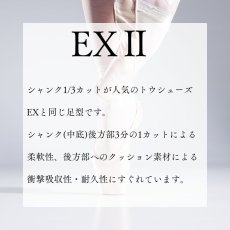 画像2: 【受注生産】 ★加工あり★EXII (2)