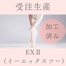 画像1: 【受注生産】 ★加工あり★EXII (1)