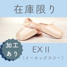 画像1: 【在庫限り】 ★加工あり★EXII (1)