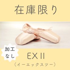 画像1: 【在庫限り】★加工なし★ EXII (1)